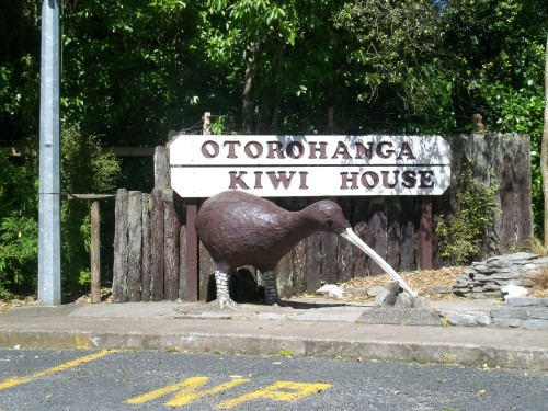 Kiwi House