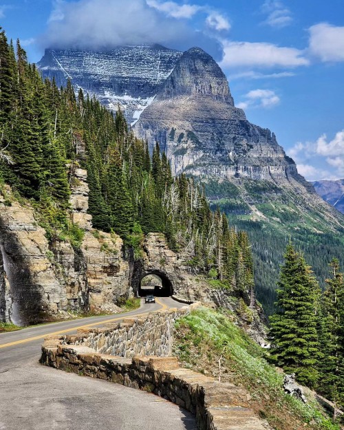 Glacier National Park. Logan Pass 4b