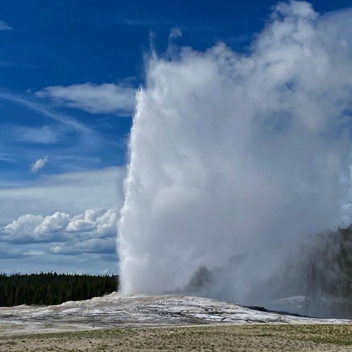 Old Faithful 1